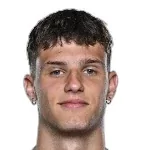 N. Dzięgielewski