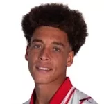 A. Witsel