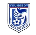 Dalian Yingbo B