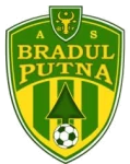 Bradul Putna
