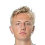 V. Skjærvik
