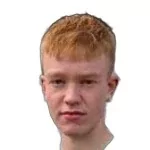 B. Þorsteinsson