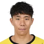 H. Mitsumaru