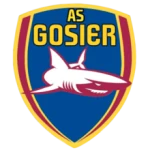 Gosier