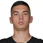 V. Litvinov