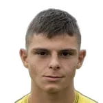 K. Pavlov