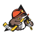 Shakhtyor Res