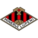Minerul Lupeni