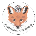 Stade Renard