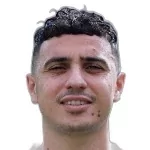 Karim Hafez