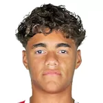 Luis Meneses