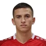 M. Ștefan