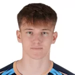 Domagoj Ivan Maric